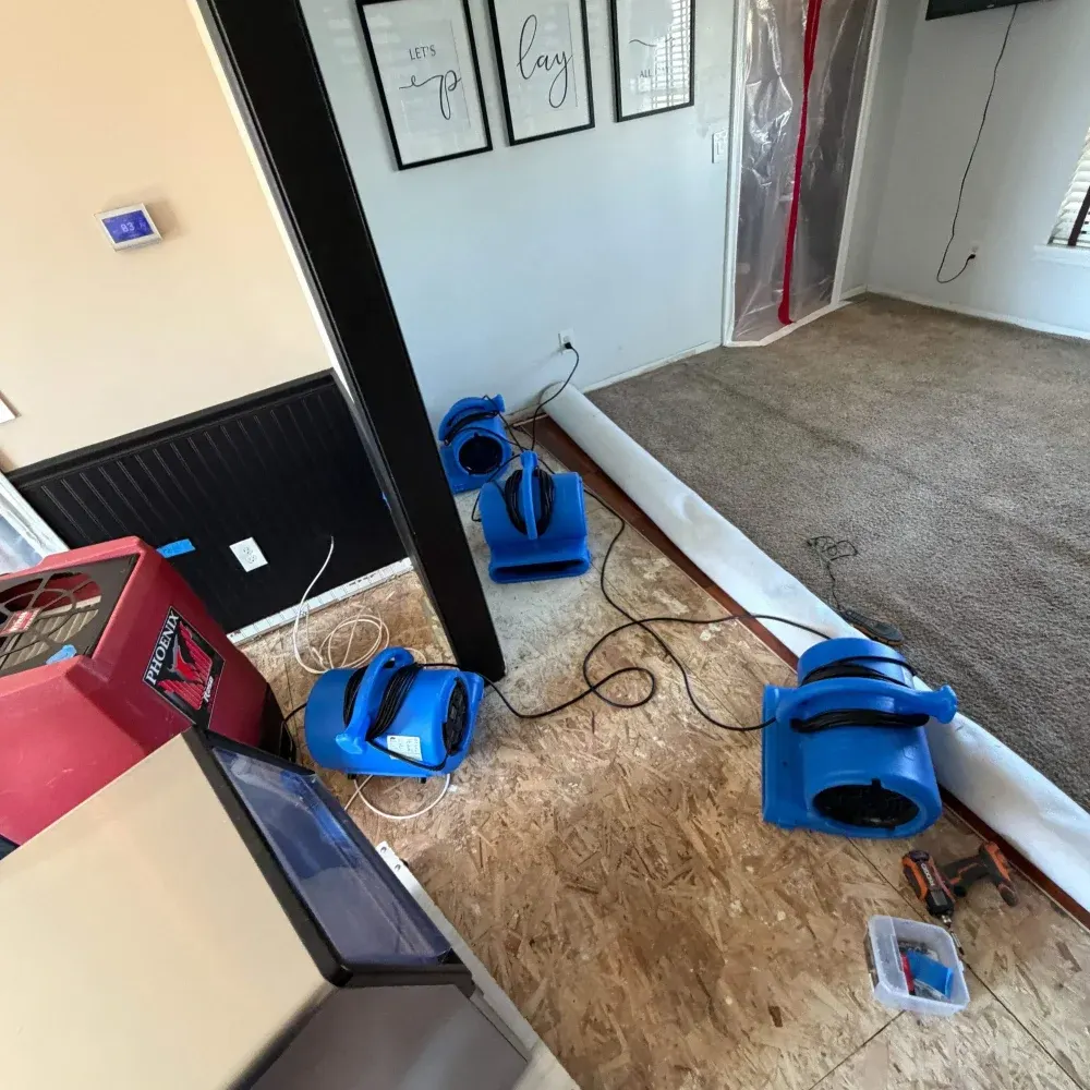 IICRC certified drying setup in Hamilton County, IN